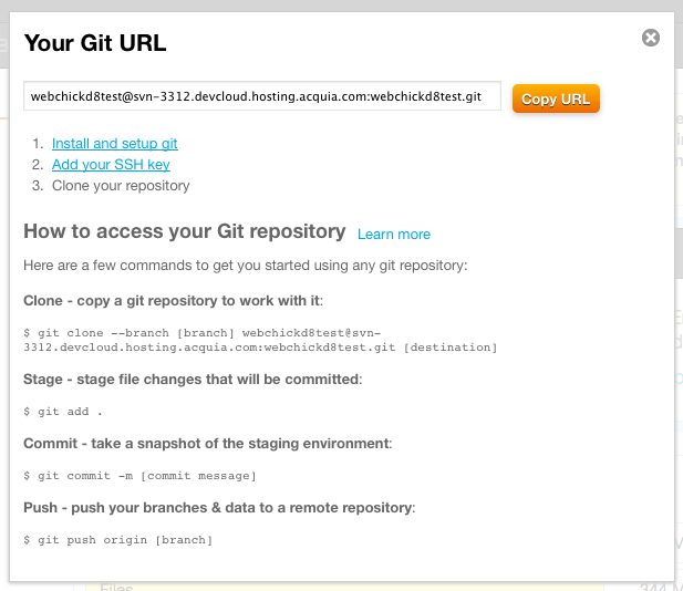 Git URL information
